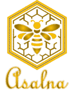 asalna.net